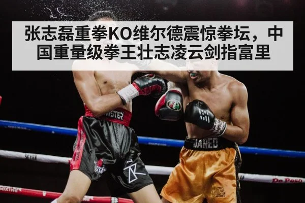 Zhang Zhilei boxing knockout